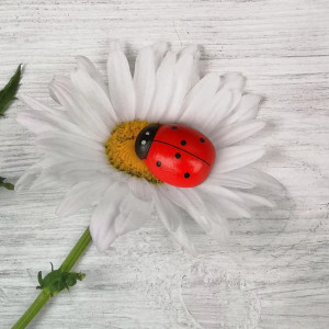Vue générale Décoration Figurine Coccinelle - 3.5cm x 4.5 cm
