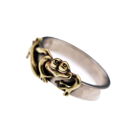 vue dessus de la Bague Grenouille Étang Doré