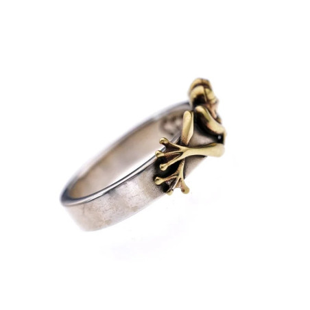 vue c ôté de la Bague Grenouille Étang Doré