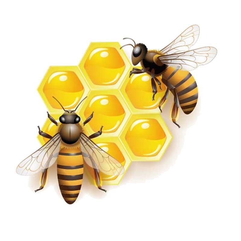 Grand autocollant PVC abeilles qui mangent du miel