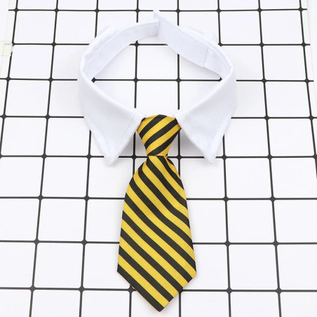 Corbata de Abeja para Perro y Gato | Accesorio Original