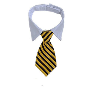 Corbata de Abeja para Perro y Gato | Accesorio Original