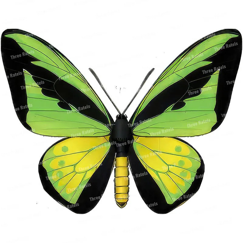 Pegatina Mariposa Verde y Negra de Vinilo | 13cm x 12.4cm