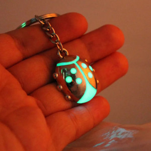 Llavero Mariquita Bonito y Luminiscente | Idea Regalo Único