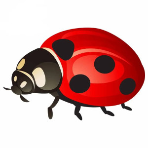 Pegatina Mariquita 'Rojo Suerte' - Sticker Elegante de Suerte