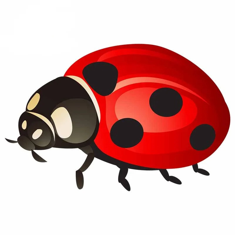 Pegatina Mariquita 'Rojo Suerte' - Sticker Elegante de Suerte