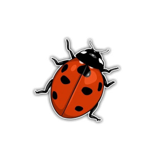 Pegatina Mariquita de la Suerte | Sticker Original y Duradero