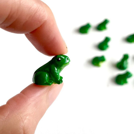 Mini Ranas de Resina – Set Decoración DIY & Terrario