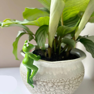 Rana Decorativa de Resina para Jardín | Figura para Colgar