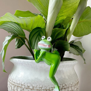 Rana Decorativa de Resina para Jardín | Figura para Colgar