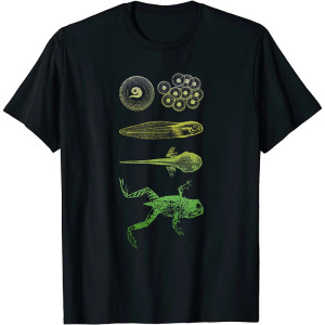 Camiseta Metamorfosis de Rana - Ciclo de Vida & Simbolismo
