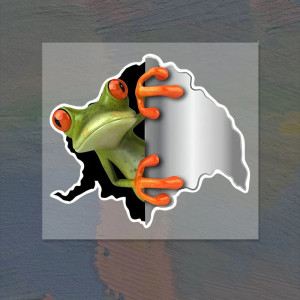 Stickers Rana Curiosa – Pack 2 Pegatinas 3D Realistas – 15x13 cm