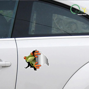 Stickers Rana Curiosa – Pack 2 Pegatinas 3D Realistas – 15x13 cm
