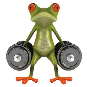 Pegatina Rana Levantando Pesas – Sticker Divertido Gimnasio