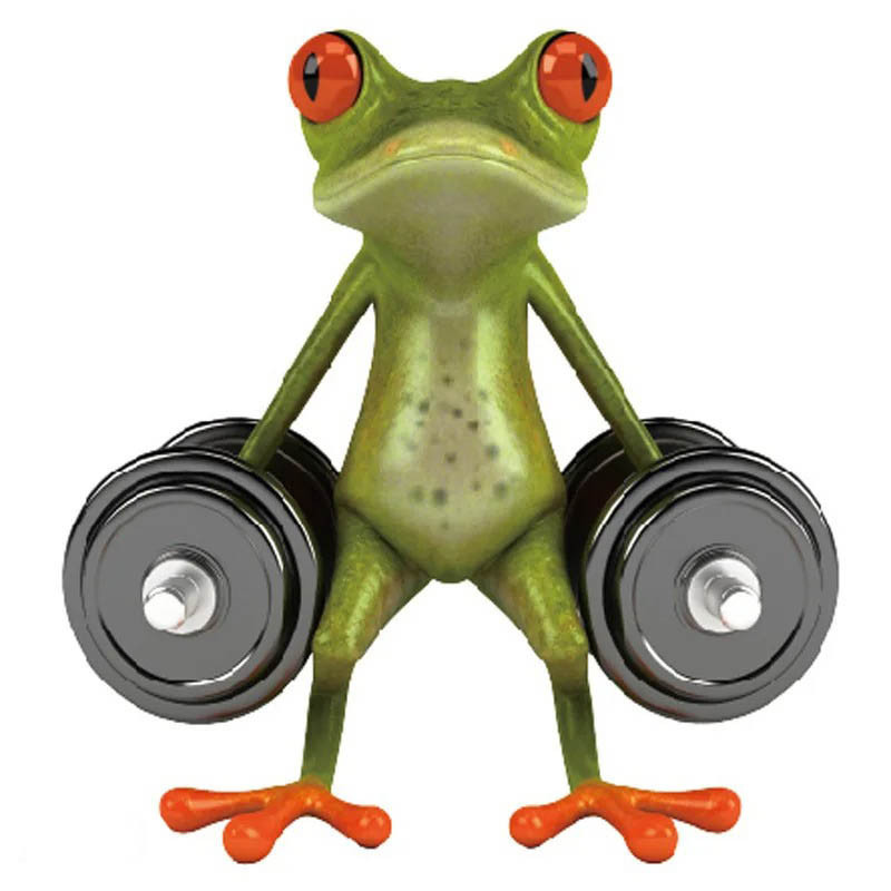 Pegatina Rana Levantando Pesas – Sticker Divertido Gimnasio