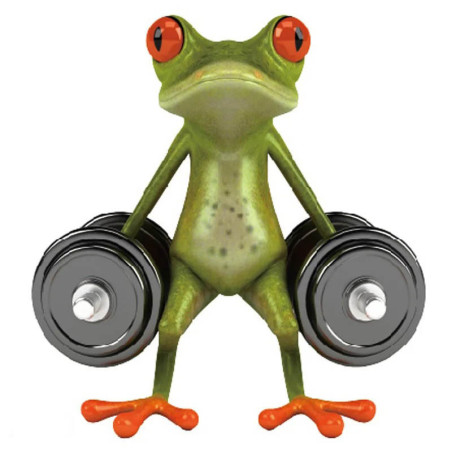 Pegatina Rana Levantando Pesas – Sticker Divertido Gimnasio