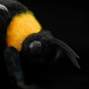 Gran Peluche de Abeja Realista – 22 cm | Tienda Polinizadores