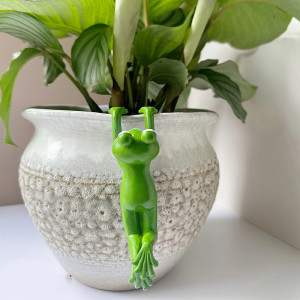 Adorno de Rana en Resina para Maceta | Decoración Divertida