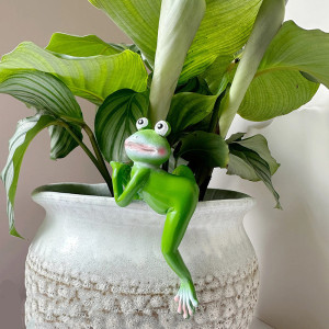 Adorno de Rana en Resina para Maceta | Decoración Divertida