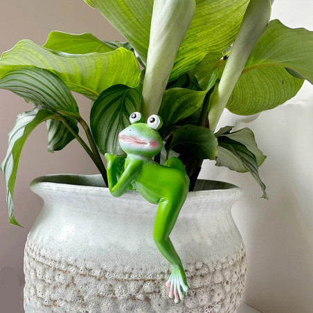 Adorno de Rana en Resina para Maceta | Decoración Divertida