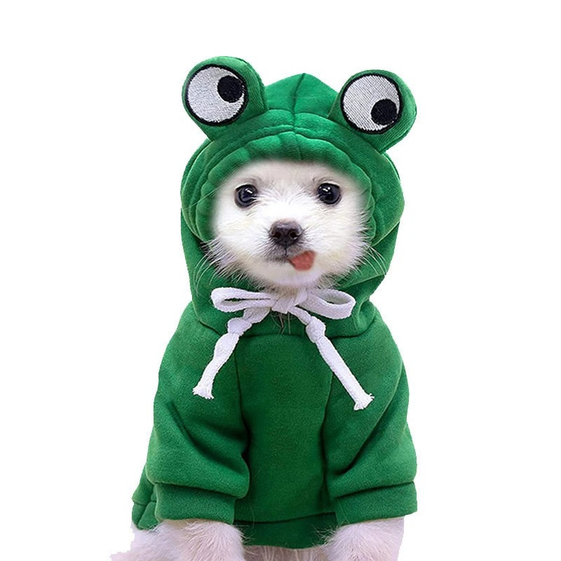 Sudadera Disfraz de Rana para Perro o Gato – 4 Colores