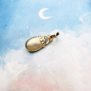 Colgante Escarabajo Solar – Plata 925 & Piedras de Colores