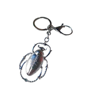 Llavero Escarabajo Dorado – Elegancia y Amuleto de la Suerte