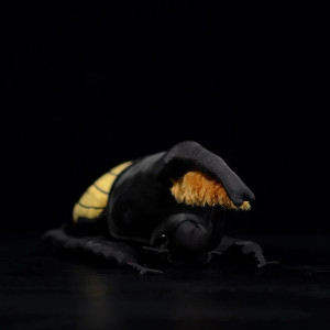 Peluche Escarabajo Sol de Oro – Insecto Gigante Negro y Amarillo