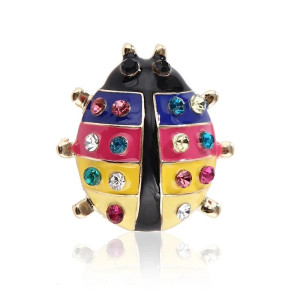 Broche Mariquita Arcoíris | Joya Original para Regalo Mujer