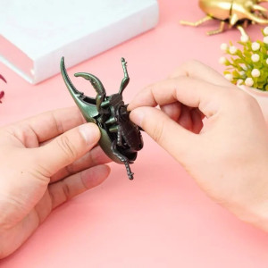 Escarabajo Mecánico de Cuerda - Juguete Combat Beetle - 3 Colores