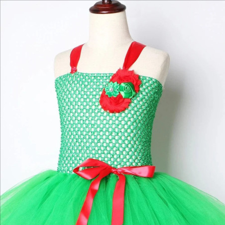 Disfraz Vestido Rana Niña "Miss Croac" - Tutú Verde y Rosa