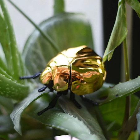 Escarabajo Mecánico de Cuerda - Reflejos Cromados | 3 colores