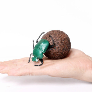 Figura Educativa Escarabajo Cetonia Verde | 1001ABEILLES