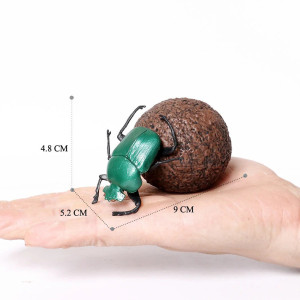 Figura Educativa Escarabajo Cetonia Verde | 1001ABEILLES