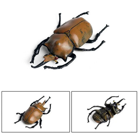 Figura Educativa Escarabajo Rinoceronte | Regalo Original