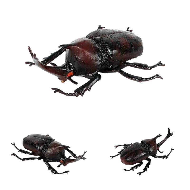 Figura Educativa Escarabajo Rinoceronte Asiático – Insecto Realista