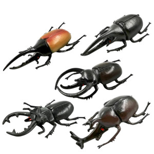 Pack 5 Figuras de Escarabajos con Cuernos - Juguete Educativo