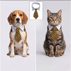 Corbata de Abeja para Perro y Gato | Accesorio Original