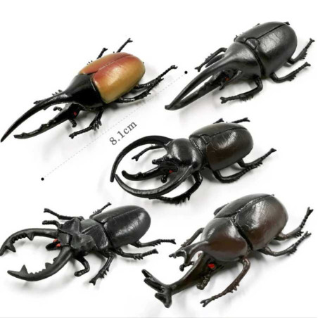 Pack 5 Figuras de Escarabajos con Cuernos - Juguete Educativo