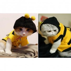 Sudadera de Abeja para Gato - Ropa Divertida y Original