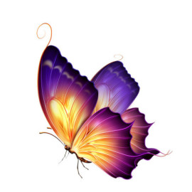 Autocollant Papillon en PVC avec Papillon Bicolore - 15cm x 12 cm Violet