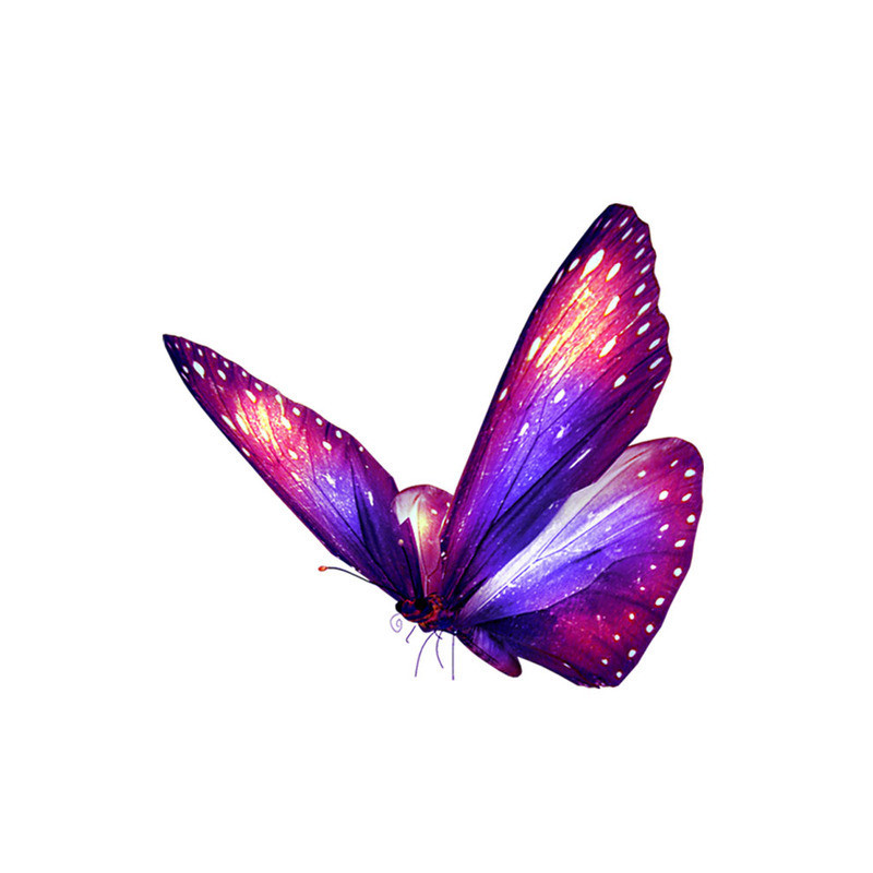 Sticker Papillon Grand Papillon Fluorescent - 13cm x 11 cm Violet