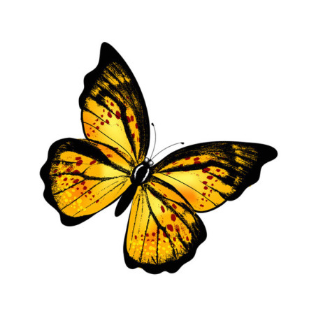 Sticker Papillon Grand Papillon Jaune - 14cm x 14cm