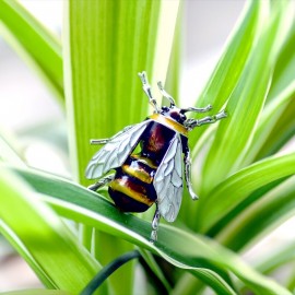 Mini Broche de Abeja Esmaltado | Joyería Original Abeja
