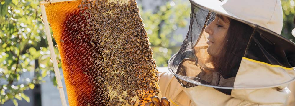 Ropa de abeja: camisetas, sudaderas, accesorios y más