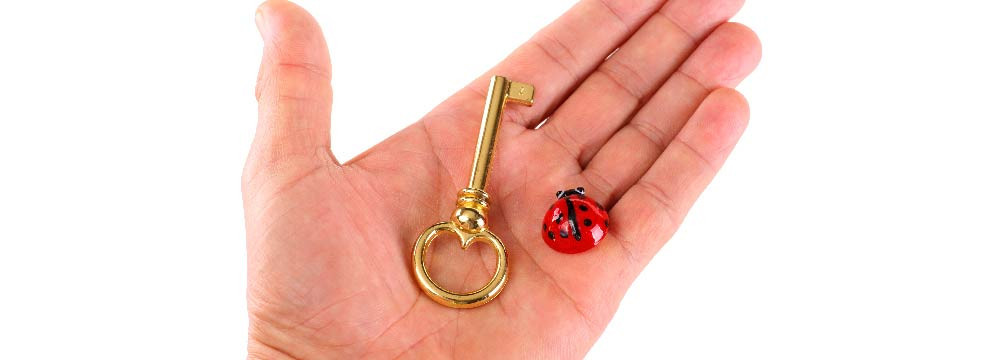 Llavero mariquita, accesorio de la suerte y pequeno regalo