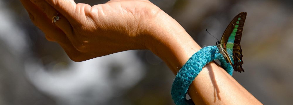 Pulsera mariposa, joya nature en la muneca e idea de regalo