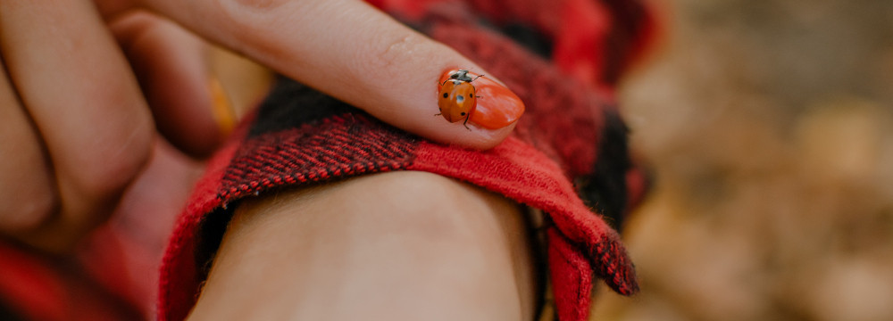 Pulsera mariquita, joya de la suerte en la muneca y regalo