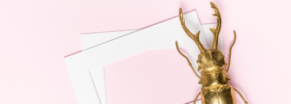 Scrapbooking escarabajo, deco manualidades y album nature