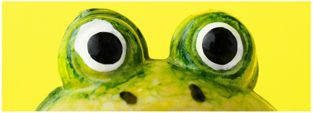 Mascota rana, peluche nature y regalo porte-bonheur
